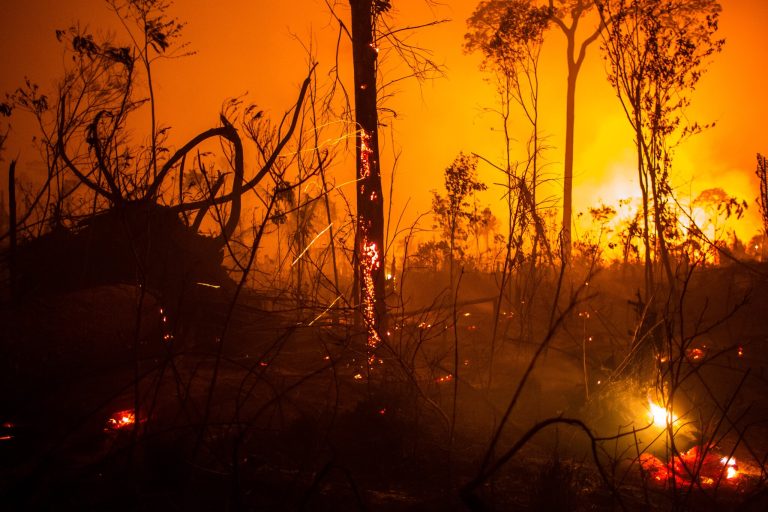 The powers pushing for the planet-wrecking EU-Mercosur trade deal