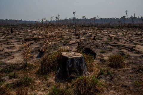 Legal Analysis: How Sustainable is the EU-Mercosur Agreement?