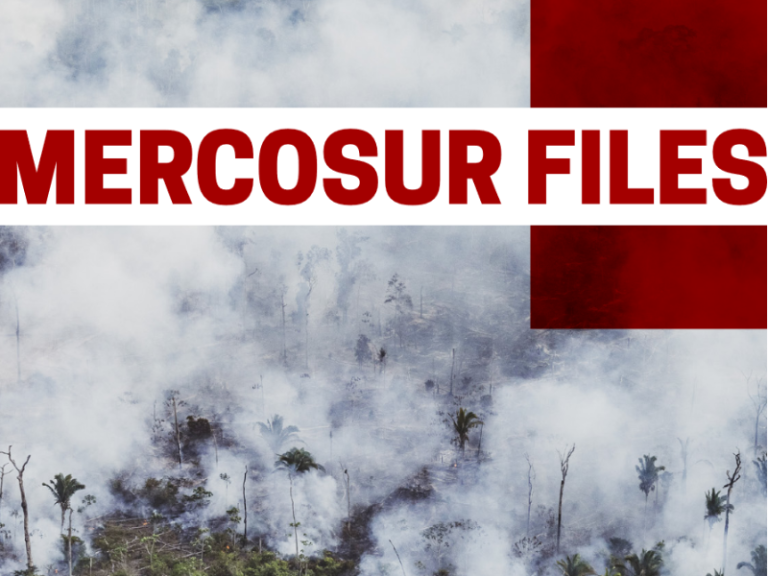 deforestation & human rights violations in Mercosur