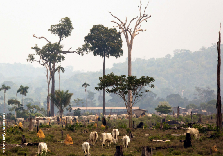 EU-Mercosur: A critical analysis and an alternative