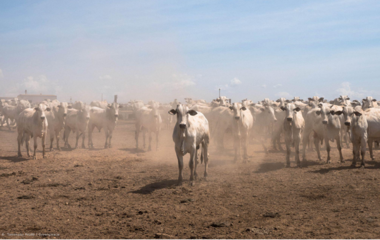 EU-Mercosur deal profits JBS